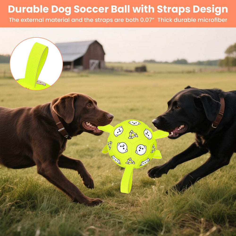 Balle Wyntrium pour chien avec traction robuste et anses.