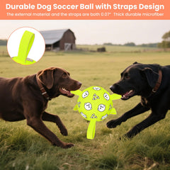 Balle Wyntrium pour chien avec traction robuste et anses.