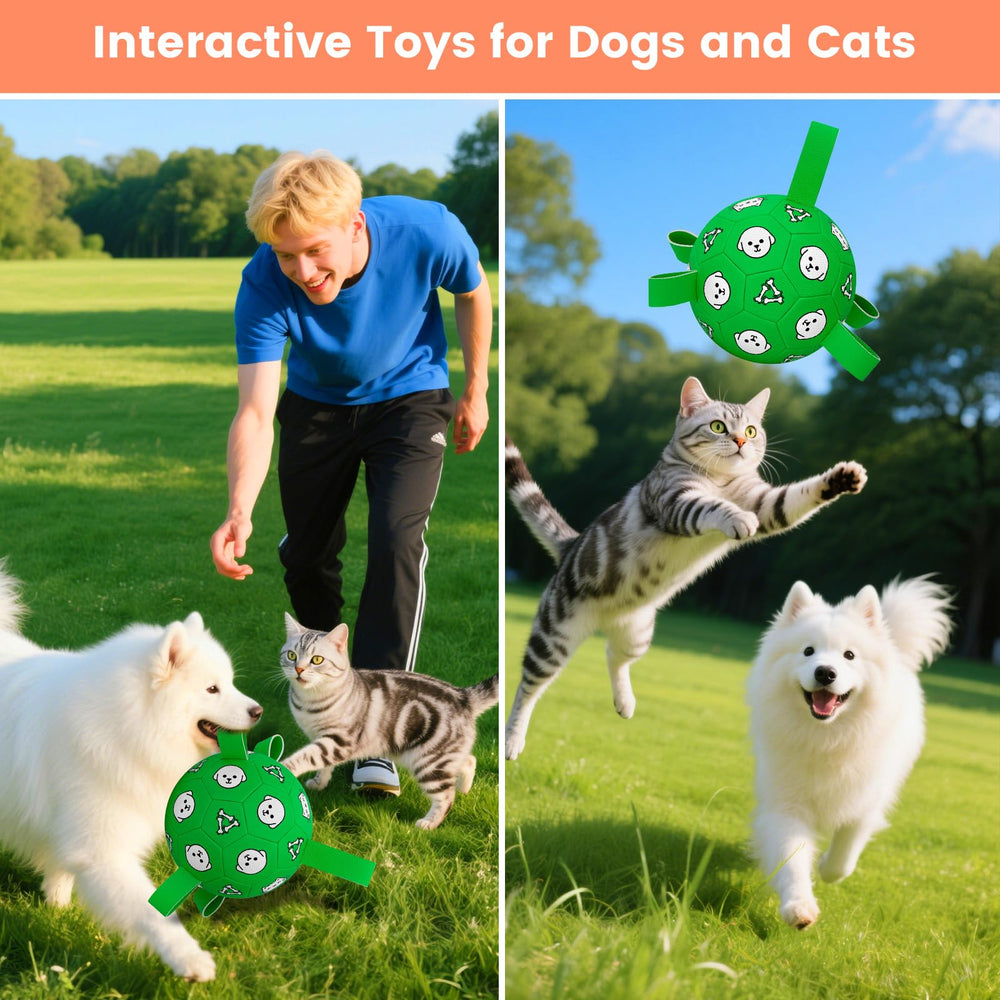 Balle Wyntrium adaptée pour chiens moyens et grands (30–90 lb) pour des jeux actifs