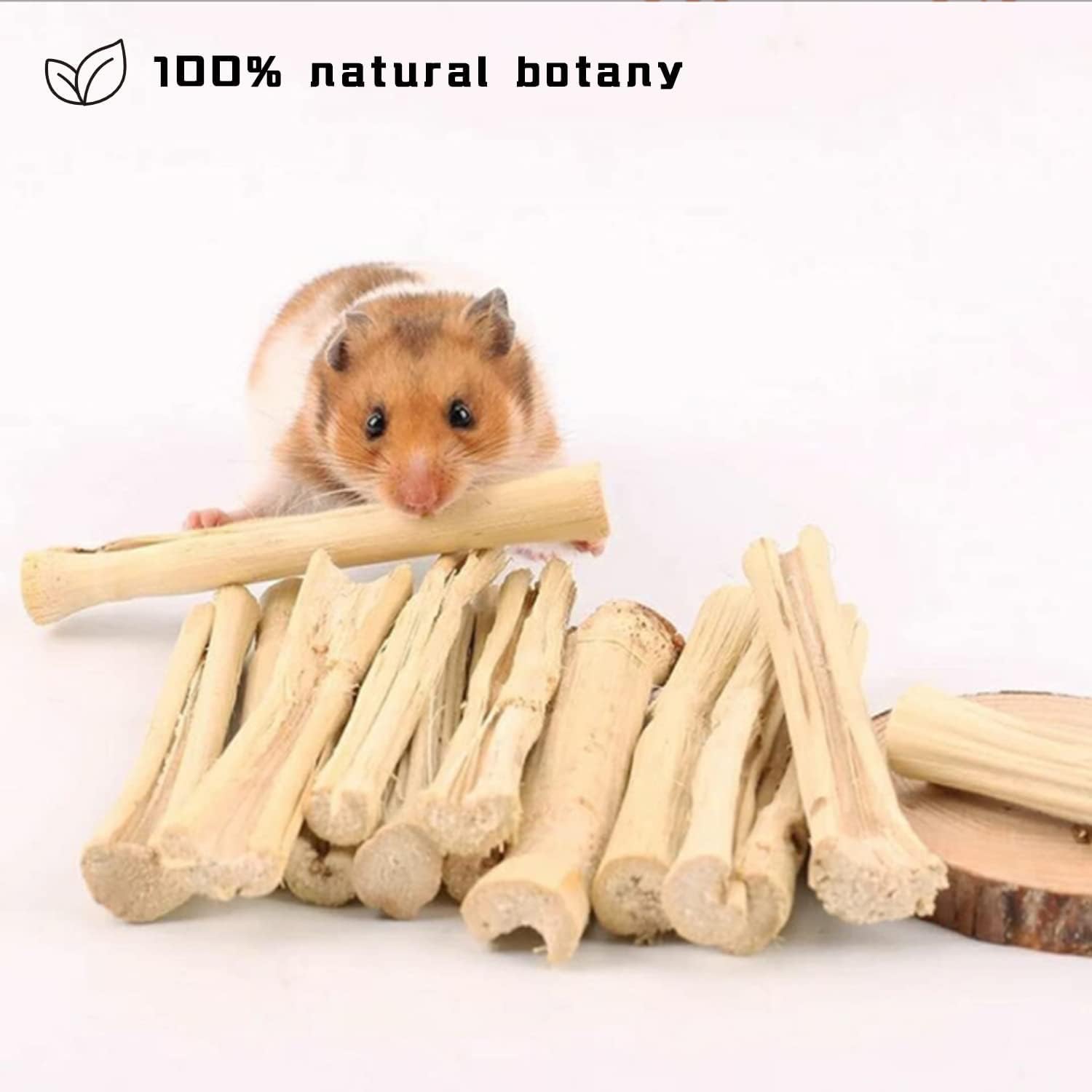 Morceaux de bambou mordants WYOMER, stimulant l’activité des petits animaux.