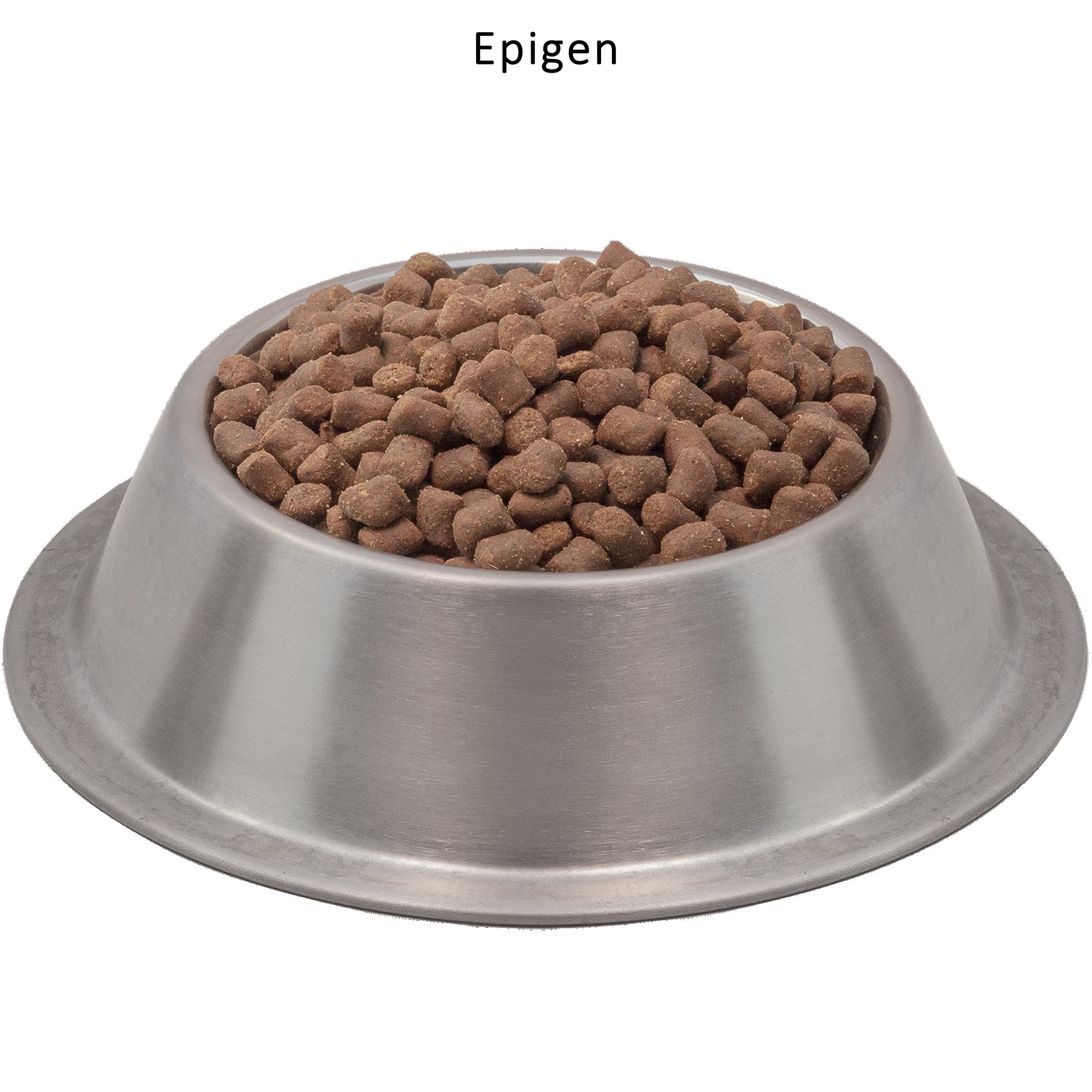 Zoom sur les ingrédients naturels et probiotiques d'Epigen par Wysong