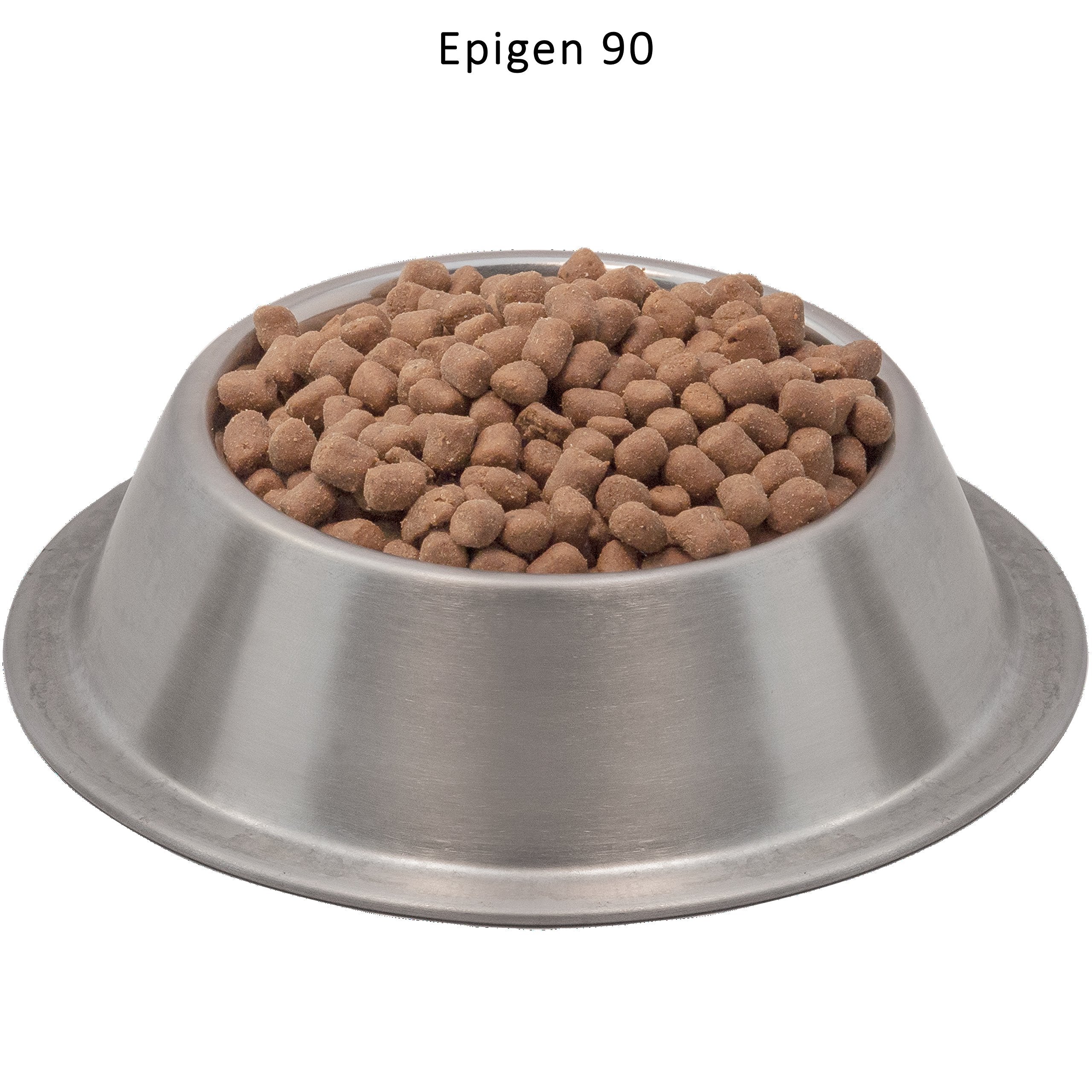 Wysong Epigen 90, probiotiques et prébiotiques pour soutien digestif