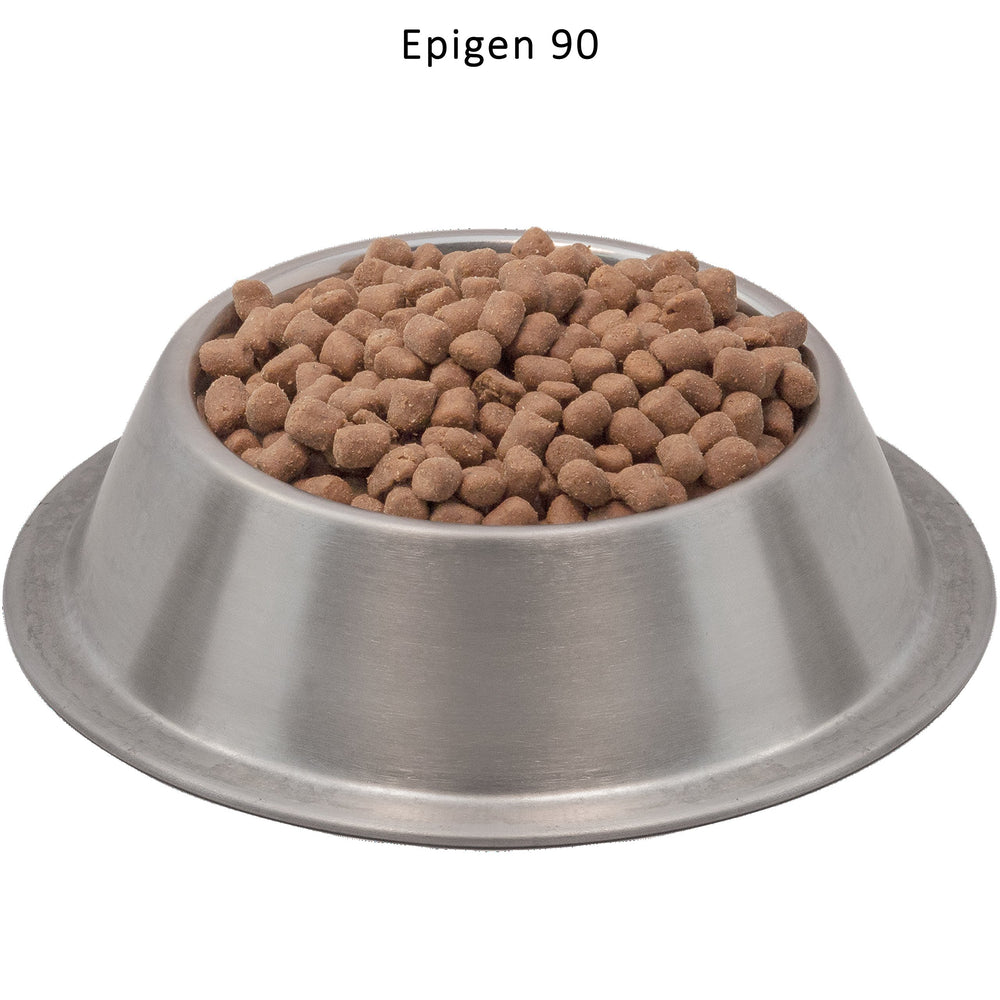 Wysong Epigen 90, probiotiques et prébiotiques pour soutien digestif