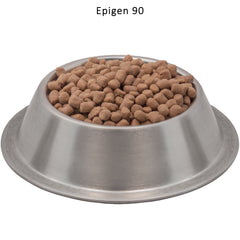 Wysong Epigen 90, probiotiques et prébiotiques pour soutien digestif