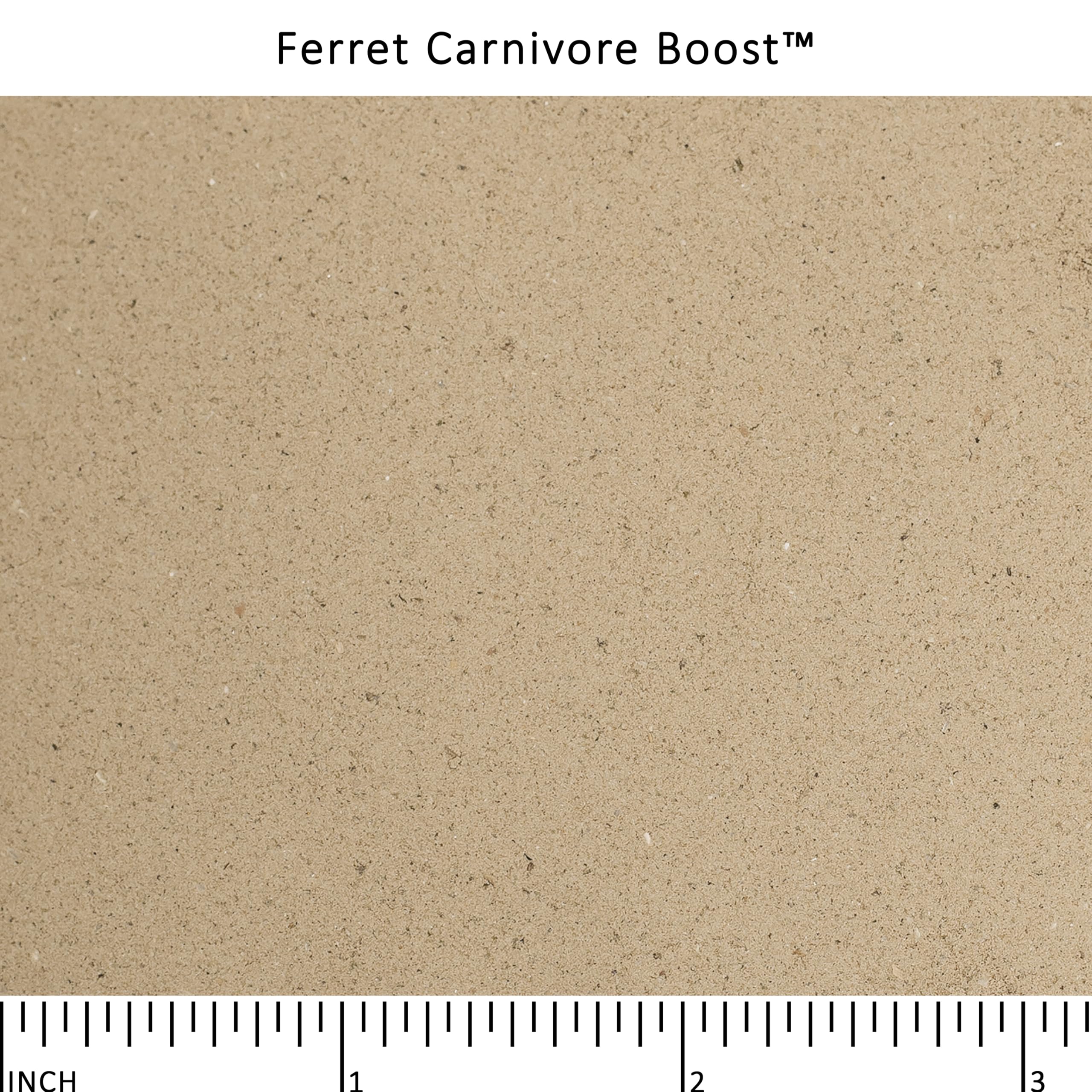 Poudre bouillon de bœuf Ferret Carnivore Boost, source de protéines variées pour le furet.