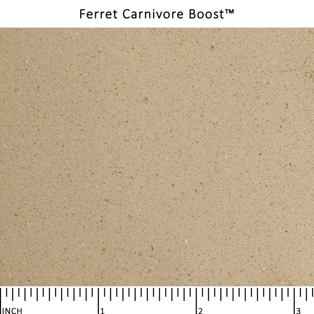 Poudre bouillon de bœuf Ferret Carnivore Boost, source de protéines variées pour le furet.