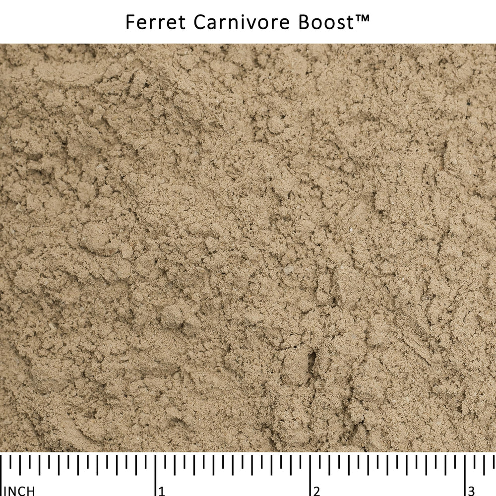Poudre bouillon de poulet Ferret Carnivore Boost, enrichissement savoureux des plats.