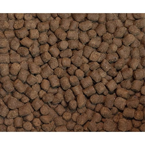 Croquettes Wysong Furet Epigen 90 Soutien digestif, texture idéale pour la mastication.