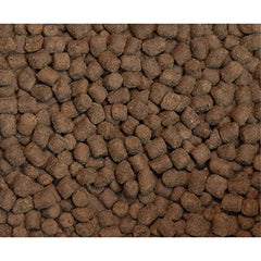 Croquettes Wysong Furet Epigen 90 Soutien digestif, texture idéale pour la mastication.