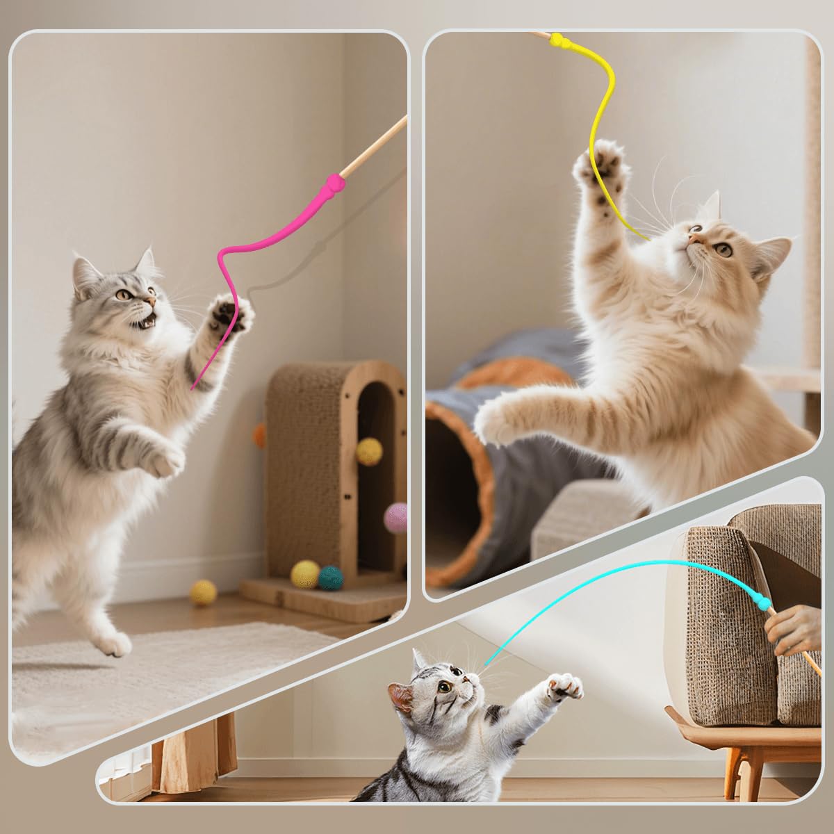 Styles colorés WYYUE qui captent l'attention du chat pendant le jeu.
