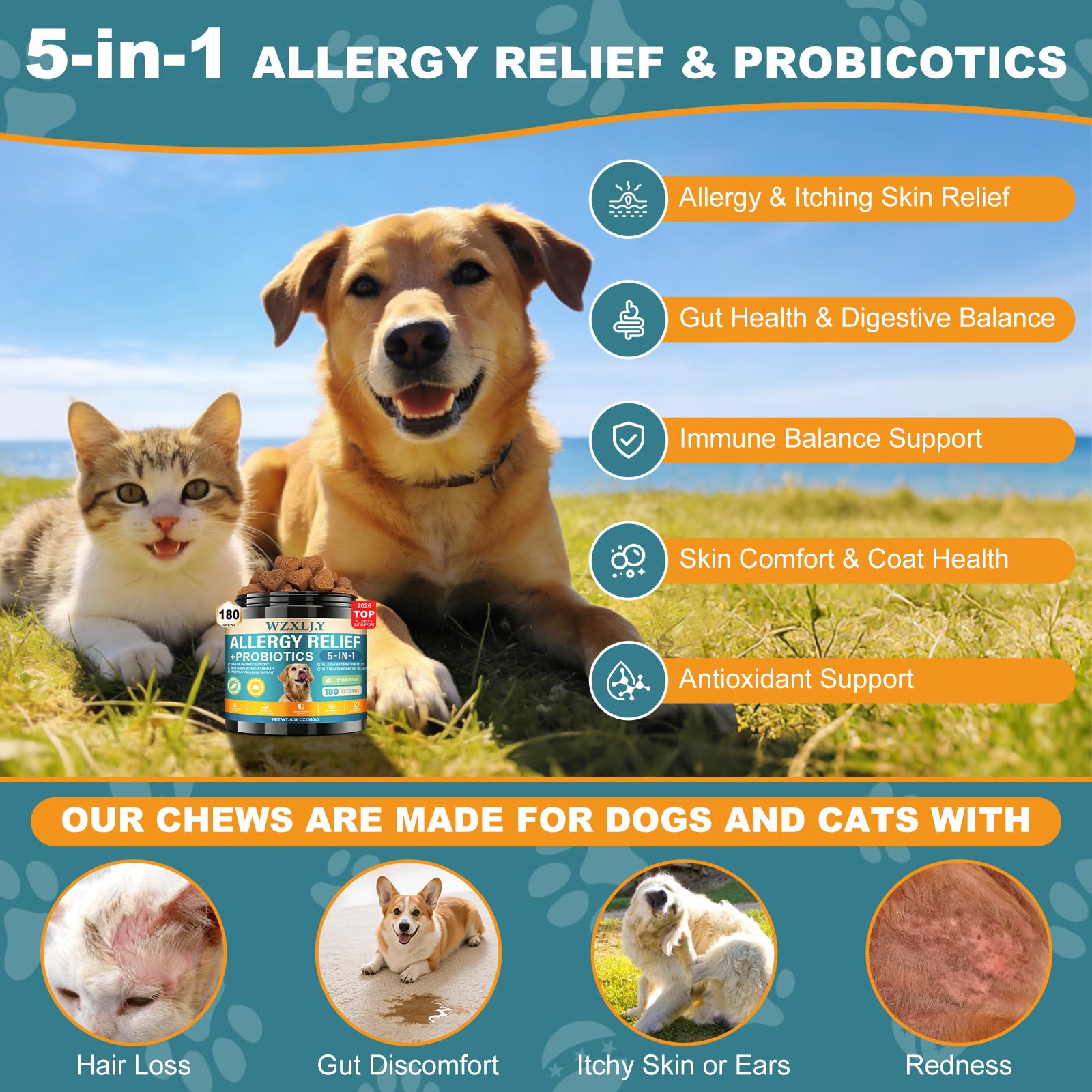 Bouchées Wzxlj.Y apaisent irritations des oreilles et démangeaisons.