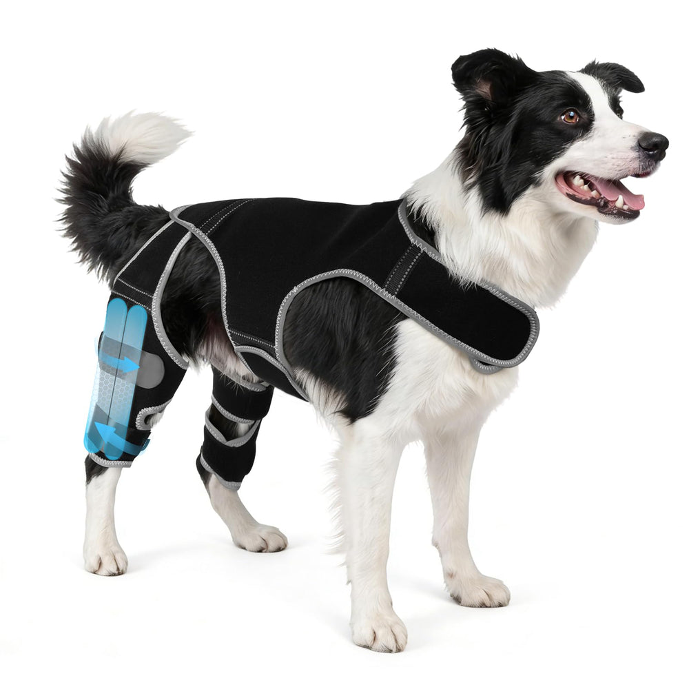 Attelle WZXOZYNG pour genou chien avec quatre stabilisateurs pour soutien ciblé.