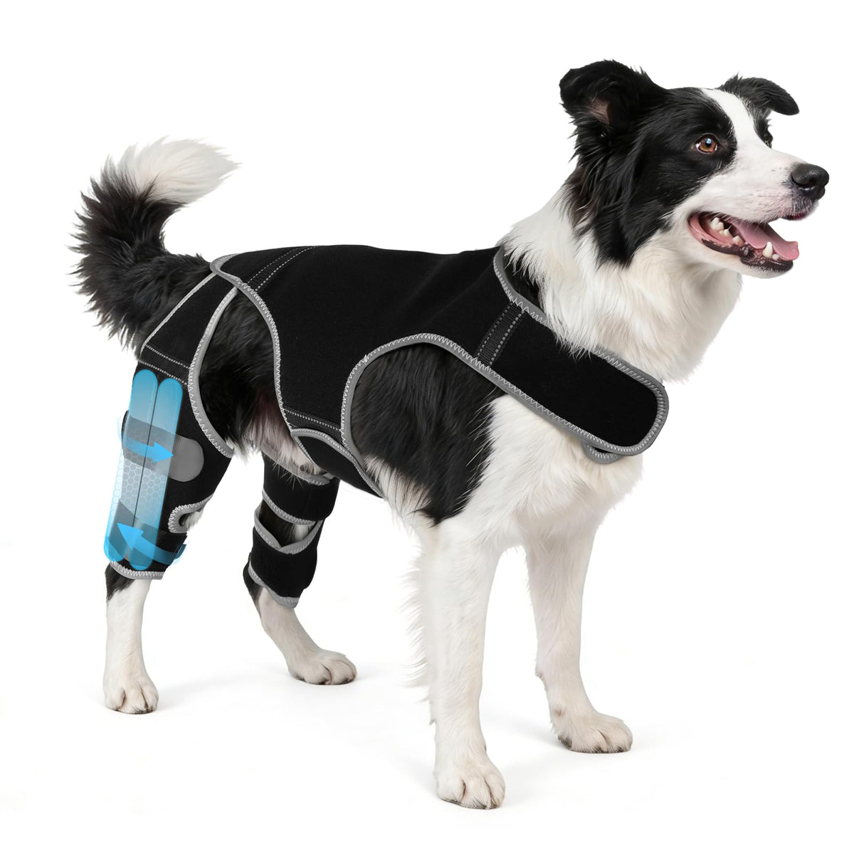Attelle WZXOZYNG pour genou chien avec quatre stabilisateurs pour soutien ciblé.