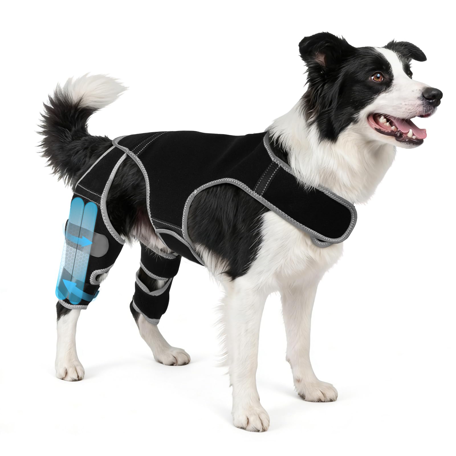 Orthèse-genou-chien-arriere par WZXOZYNG, soutien stable lors des promenades.