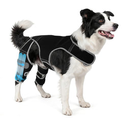 Orthèse-genou-chien-arriere par WZXOZYNG, soutien stable lors des promenades.