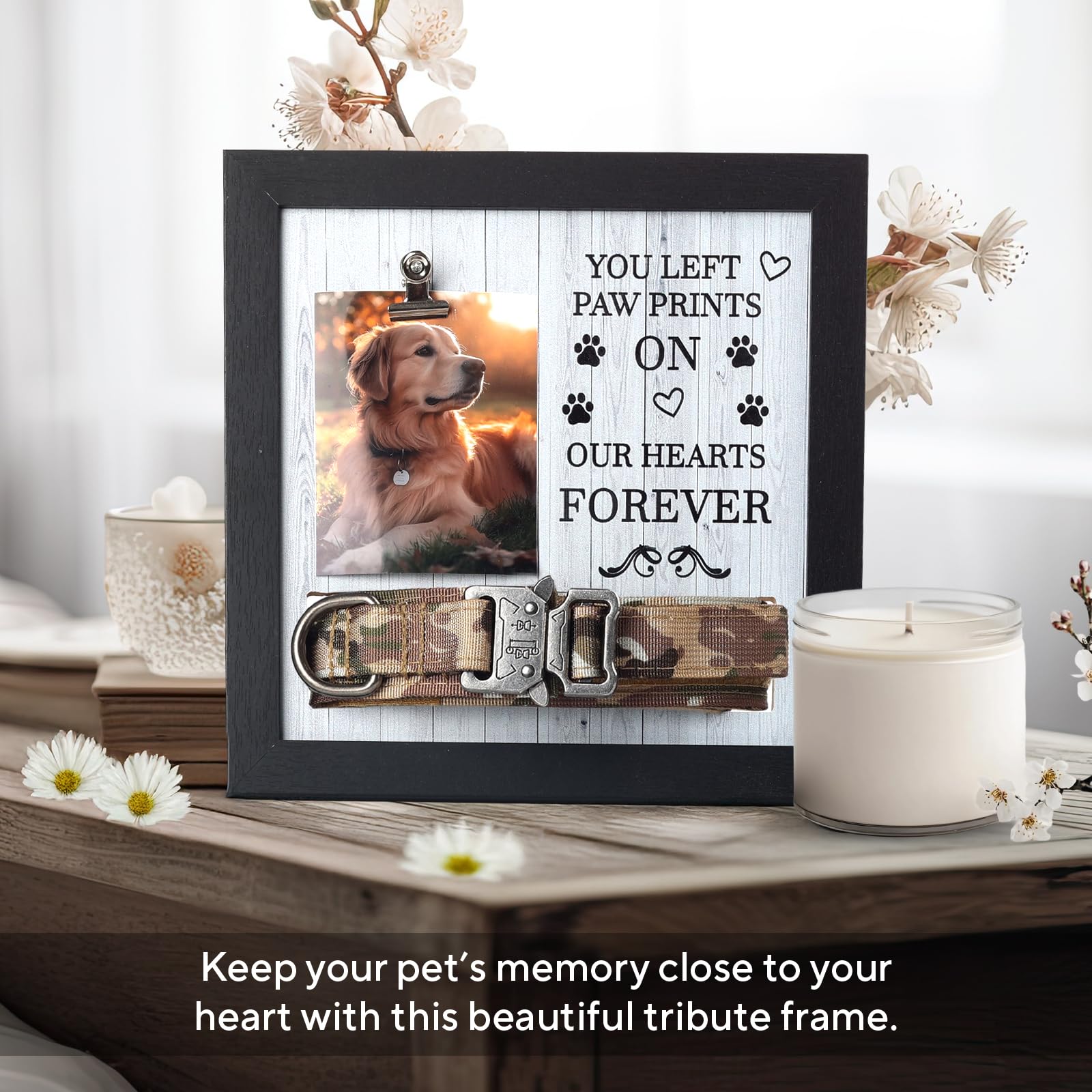 Cadre X-partner, photo et collier exposés, mémoire vivante au quotidien.