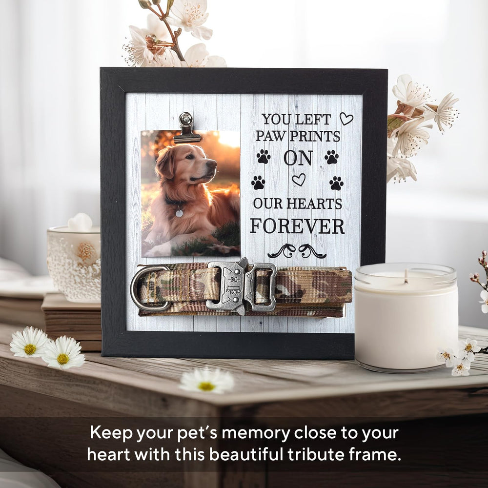 Cadre X-partner, photo et collier exposés, mémoire vivante au quotidien.
