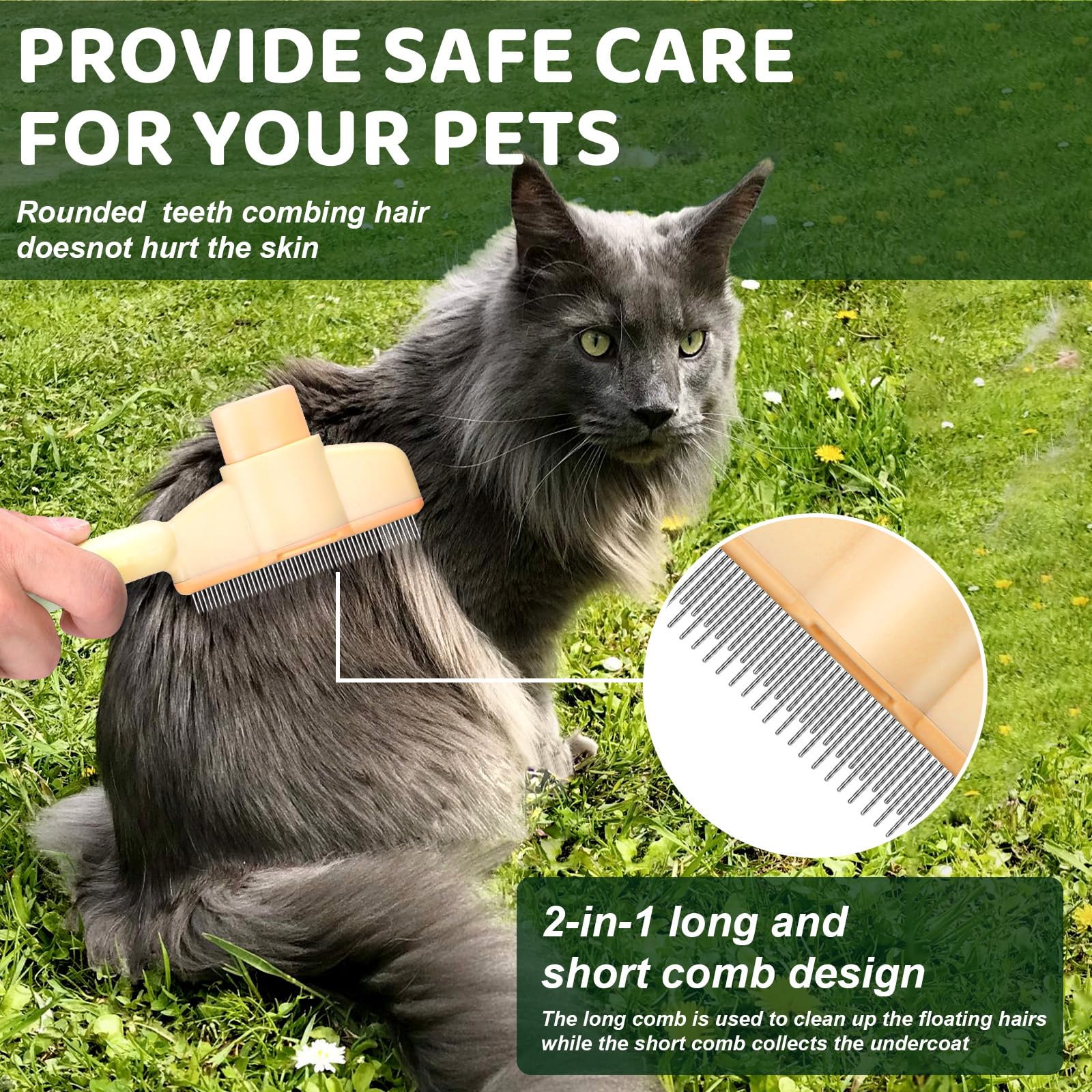 XANGNIER peigne facile a nettoyer et durable.