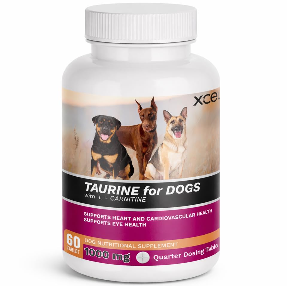 XCEL Taurine chien – bouteille 1000 mg, soutien potentiel du cœur et énergie quotidienne.
