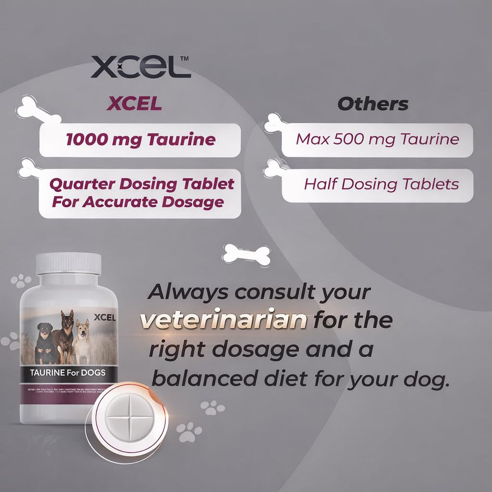 XCEL Taurine – cœur et énergie, soutien possible pour chiens actifs.