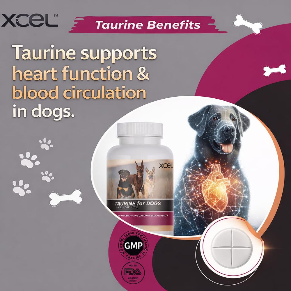 XCEL Taurine – santé des yeux et rétine, protection cellulaire potentielle.