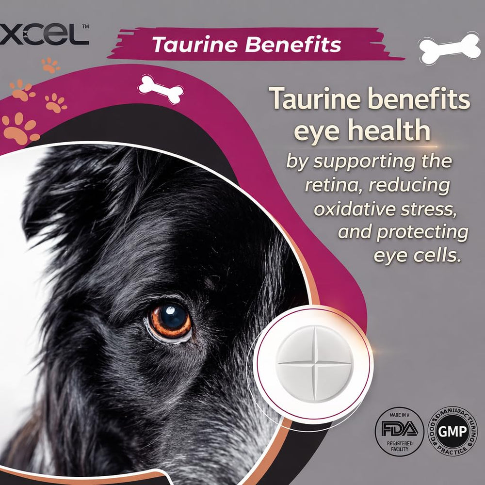 XCEL Taurine – tablettes faciles à diviser, dosage précis au besoin.