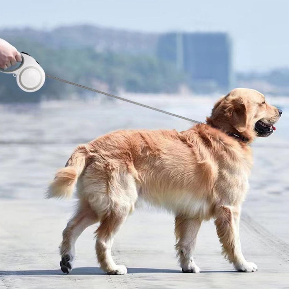Idéale pour chiens jusqu’à 66 livres lors des sorties en ville et parcs