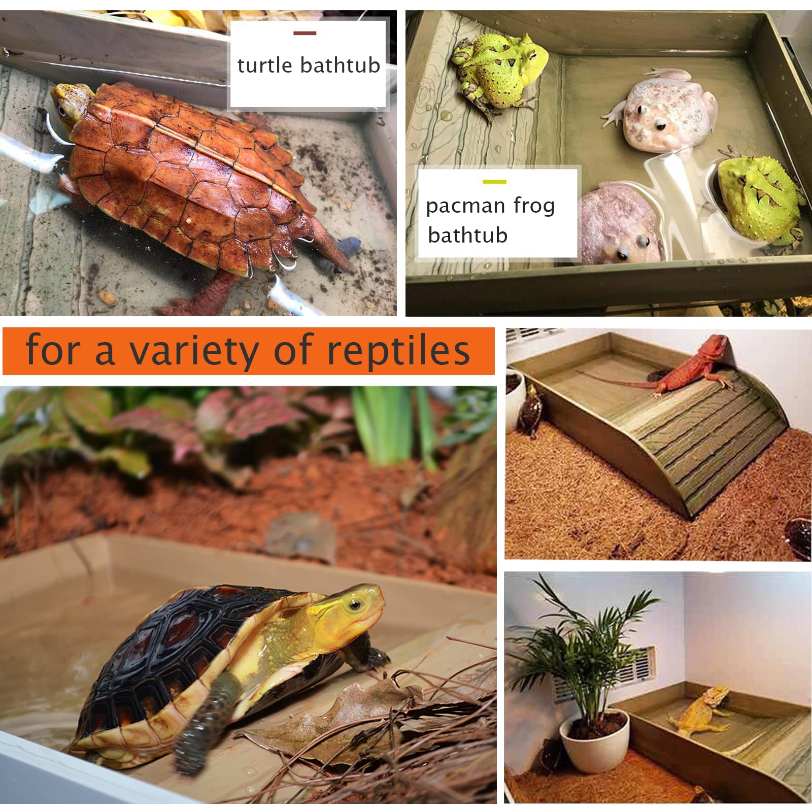 XDONEF bol alimentation tortue feuille grand – design esthétique et facile à nettoyer.