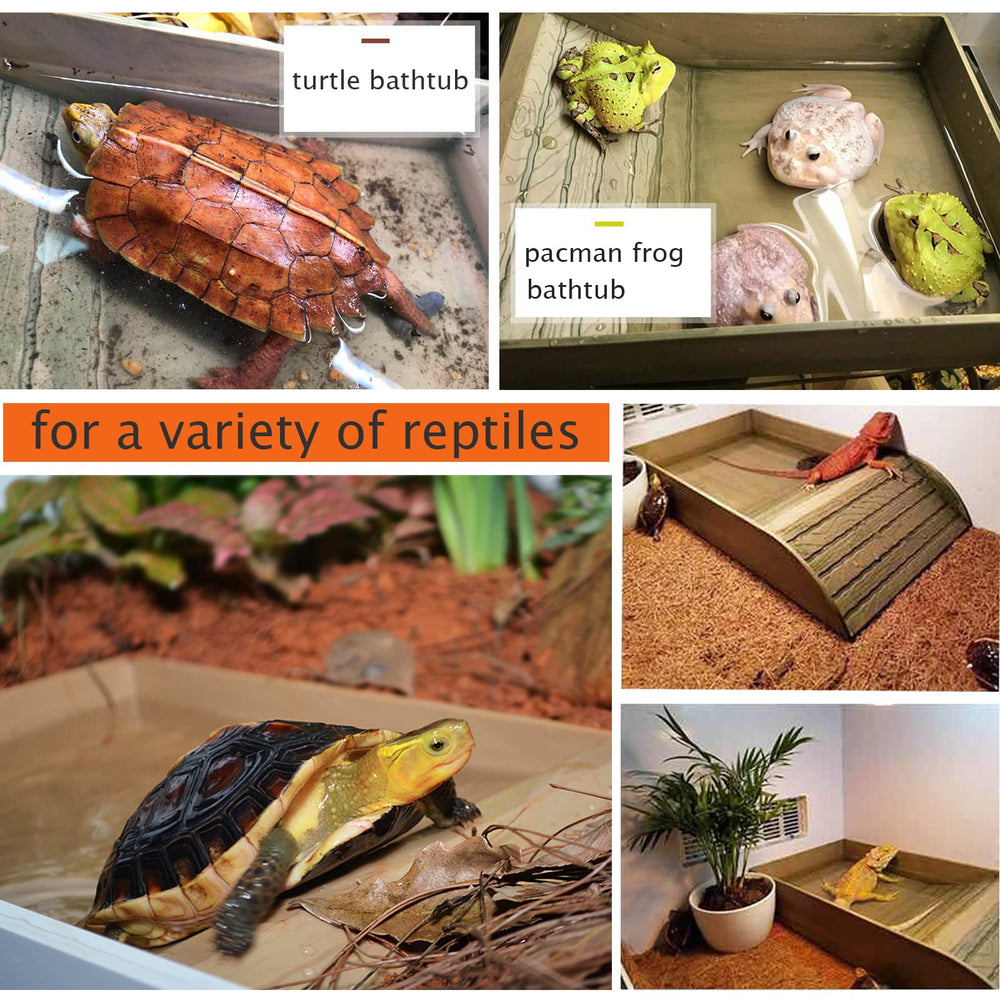 XDONEF bol alimentation tortue feuille grand – design esthétique et facile à nettoyer.