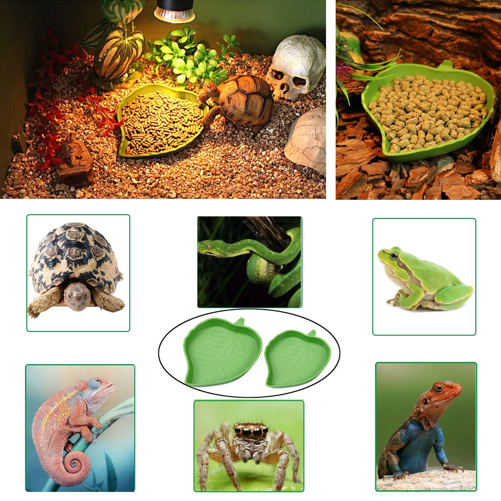 XDONEF plateforme bain tortue – espace repos lumineux pour basking.