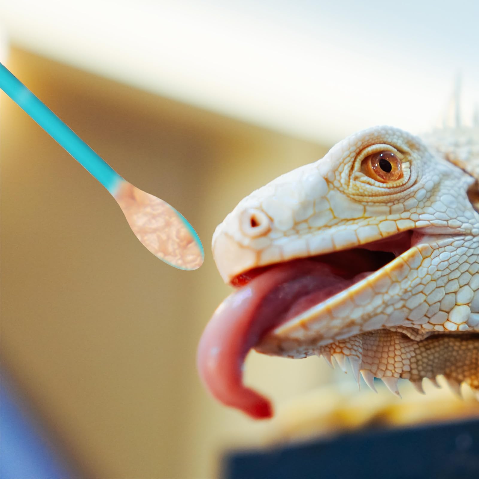Xelsluthe cuillieres-reptile matiere sûre pour les animaux.