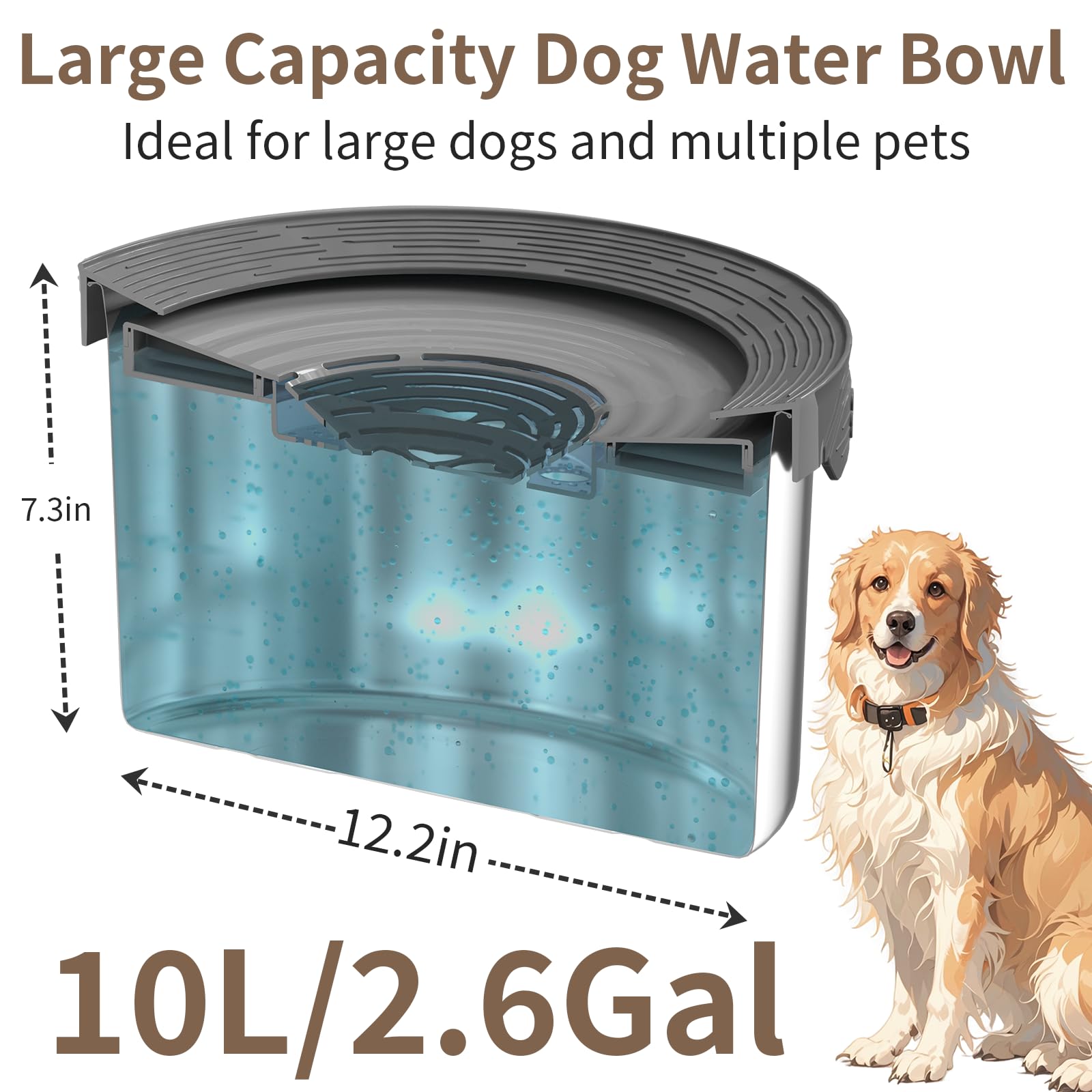 Xetino gamelle en acier inoxydable pour chiens durable et facile à nettoyer