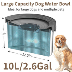 Xetino gamelle en acier inoxydable pour chiens durable et facile à nettoyer