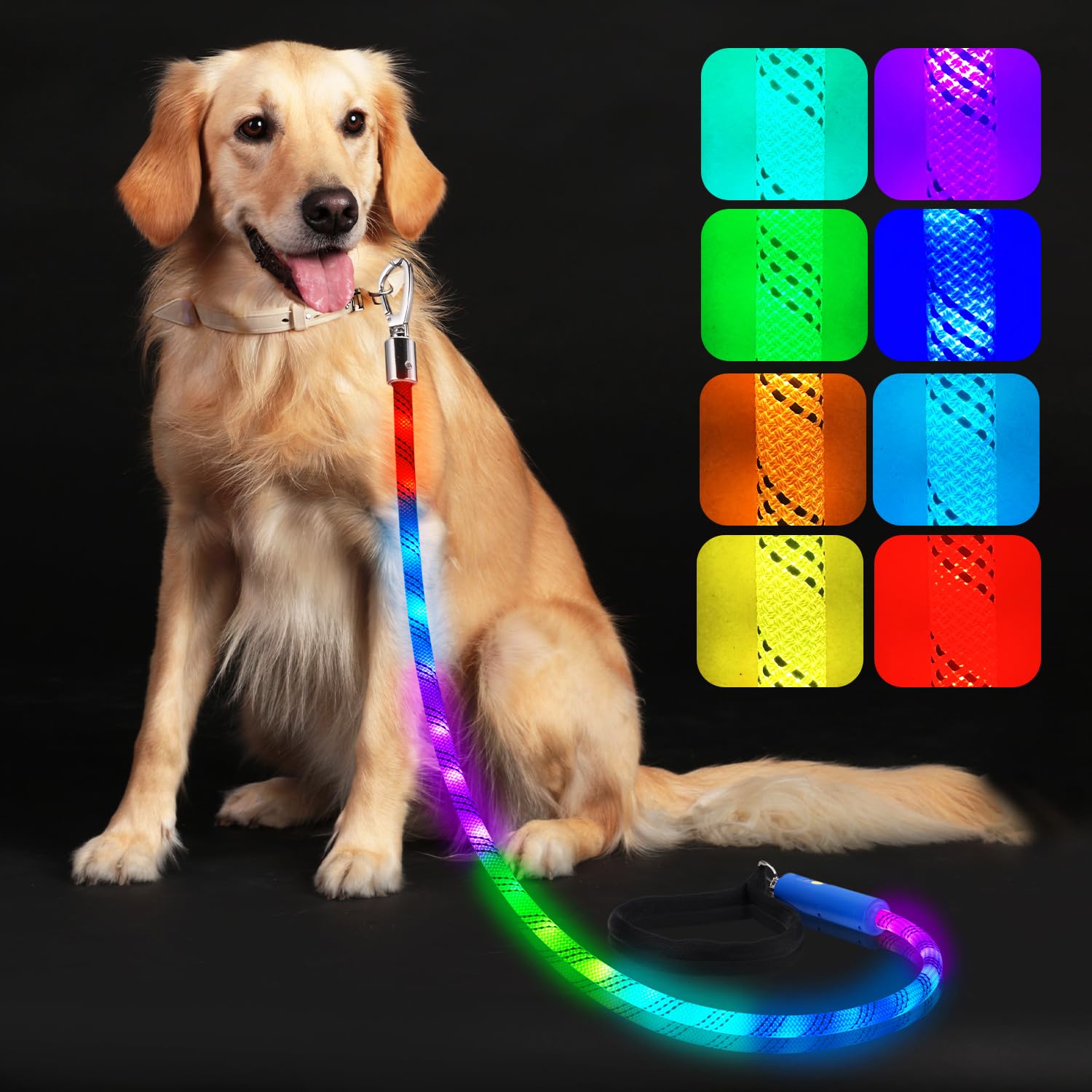 Xeuch Laisse lumineuse: 13 modes colorés pour promenades nocturnes sécurisées.