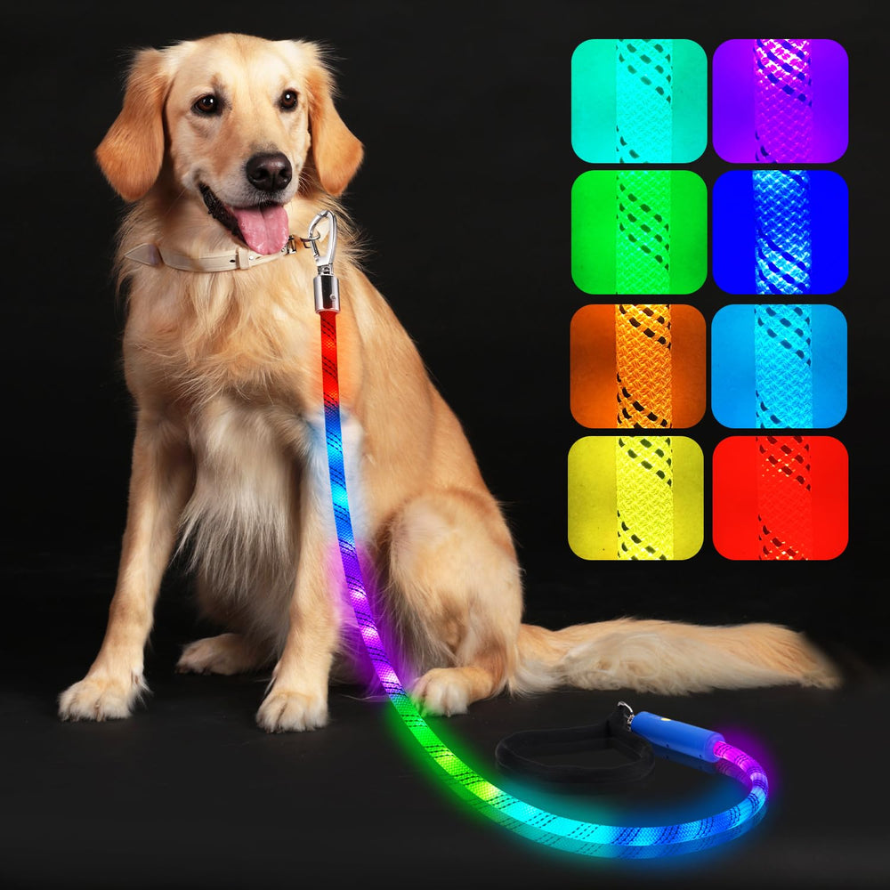 Xeuch Laisse lumineuse: 13 modes colorés pour promenades nocturnes sécurisées.