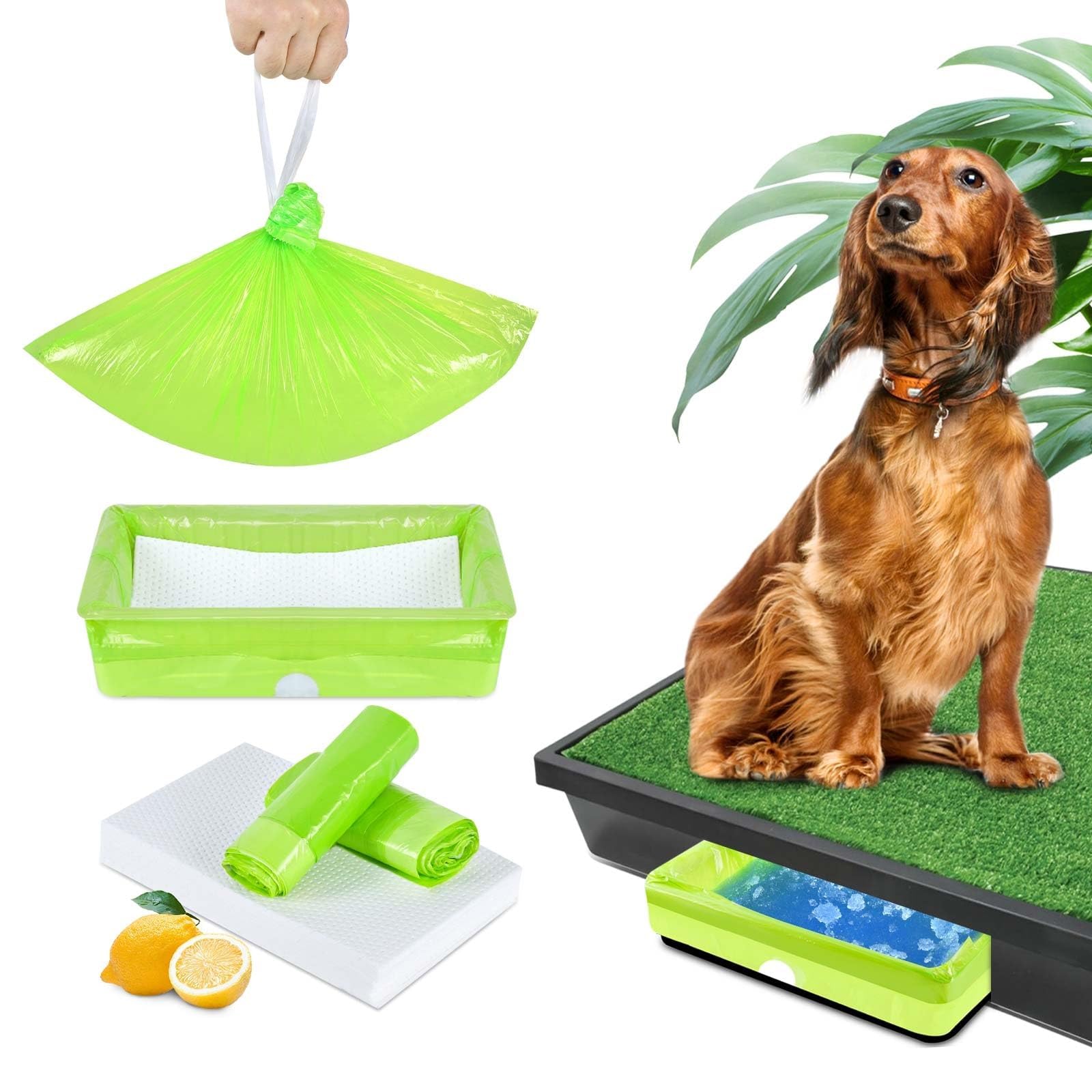 Xfire Doublures Pet Loo citron absorbants pour absorption rapide et parfum frais