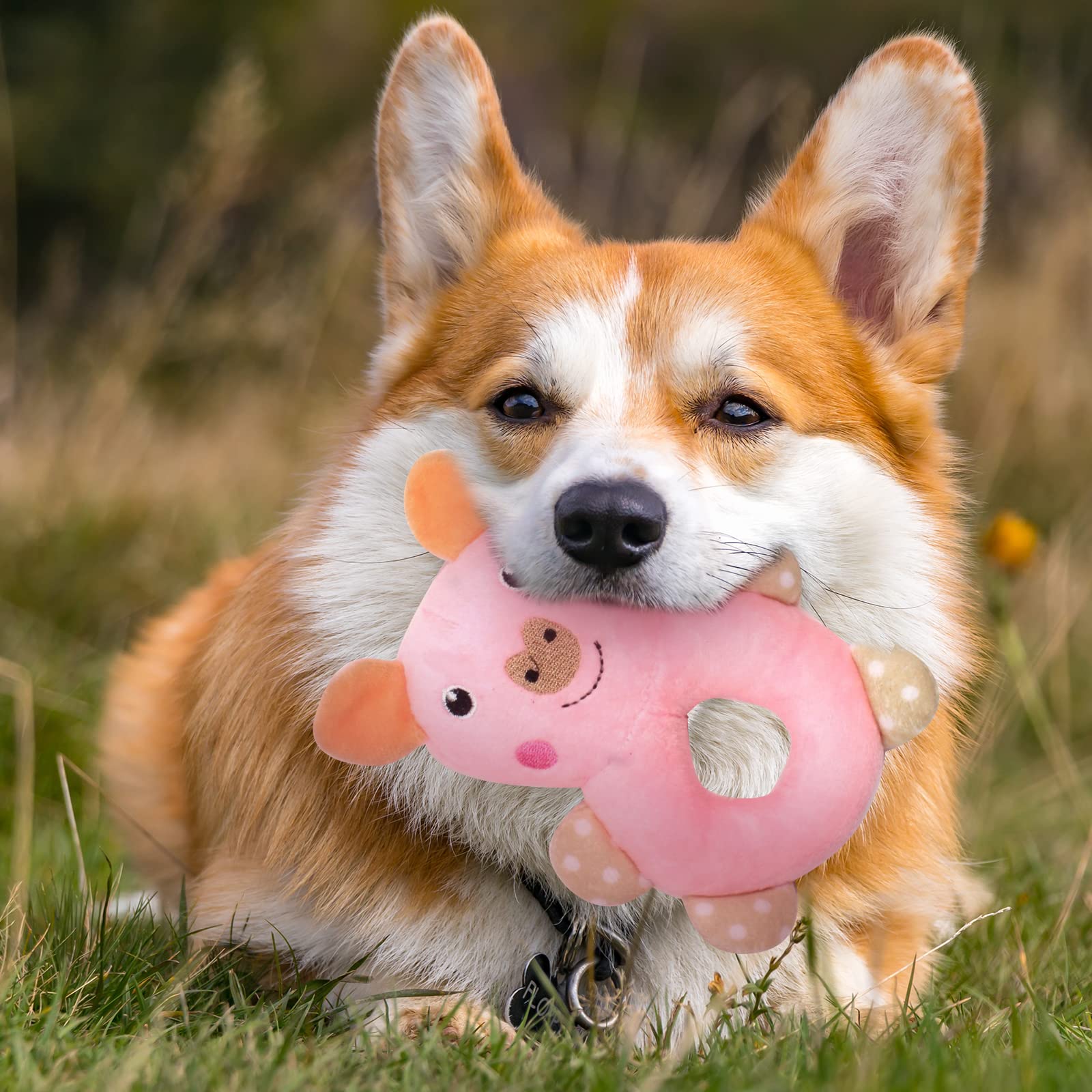 Nettoyage rapide des jouets XGDMEIL rose.