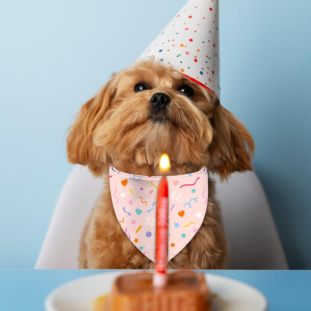 Bandana XGXHZYLC anniversaire double-face pour chat, look mignon et festif.
