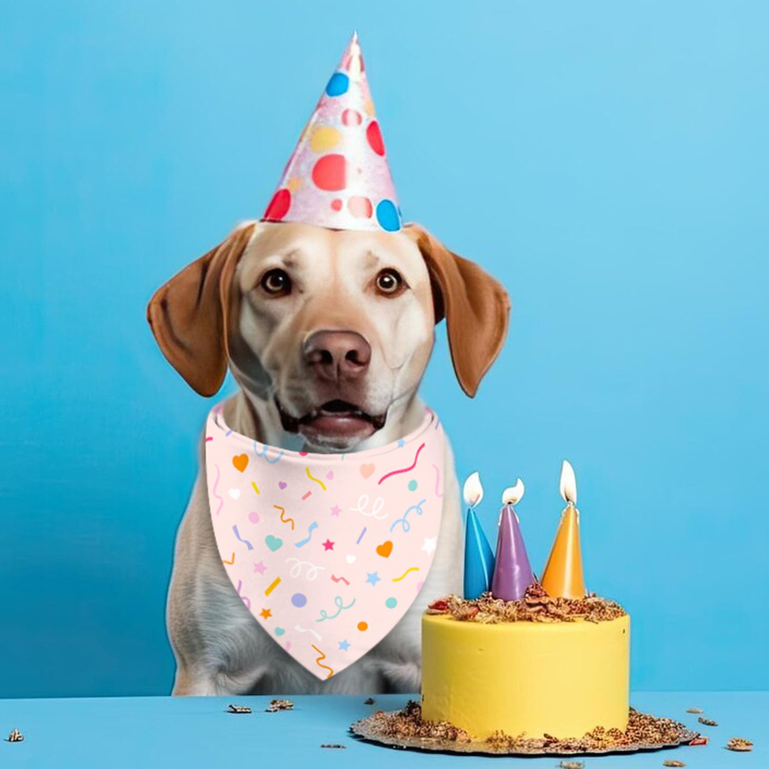 Ensemble bandanas fête XGXHZYLC, pratique et résistant pour animaux.