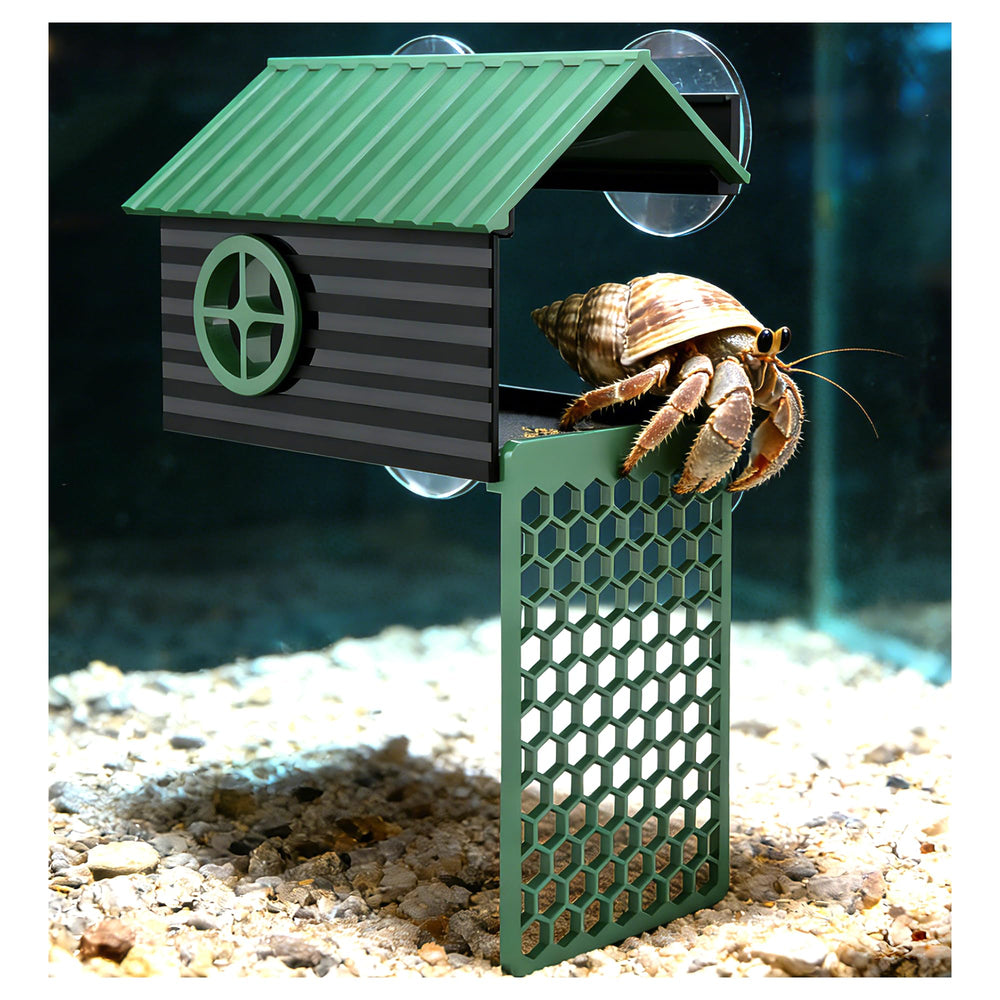 Cachette XIAOXINGYUN pour hermite-crabe, refuge sûr et observation claire