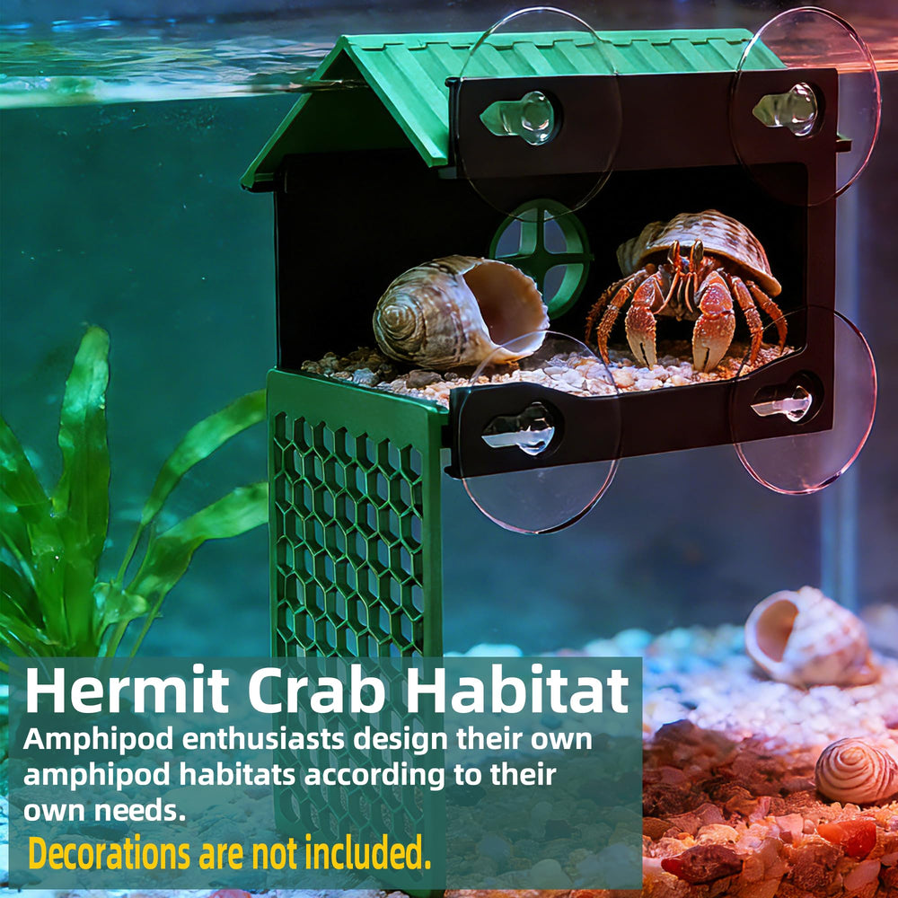 Mur d’escalade XIAOXINGYUN pour hermite-crabe, stimule curiosité et activité