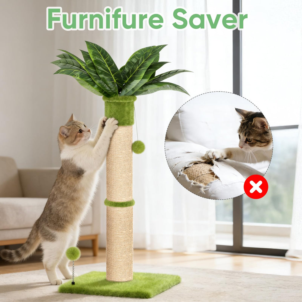XiaZ design adapté à une utilisation par plusieurs chats.