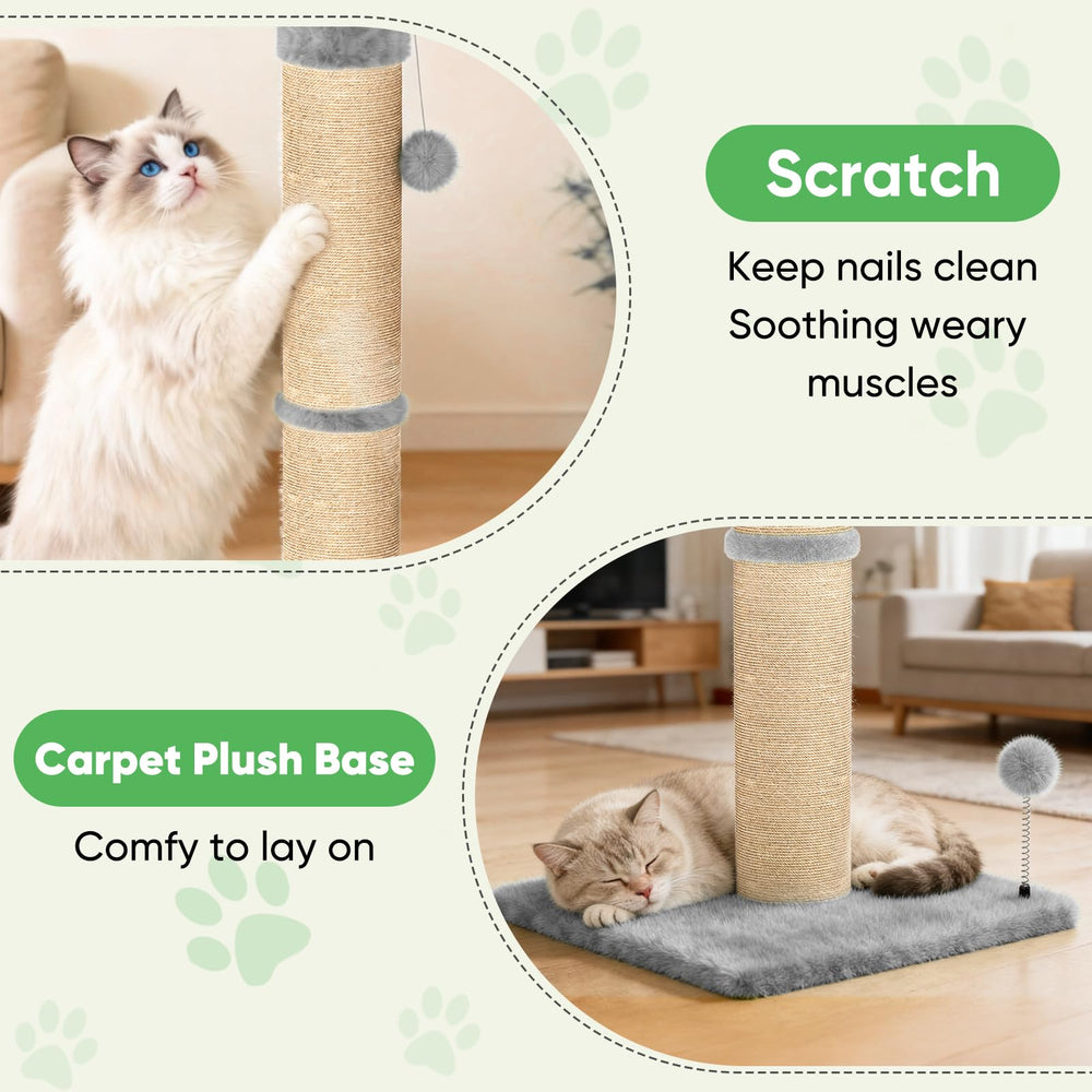 XiaZ arbre chat boule jouet base.