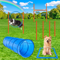 Boîte pause XiaZ pour entraînements canins à domicile.