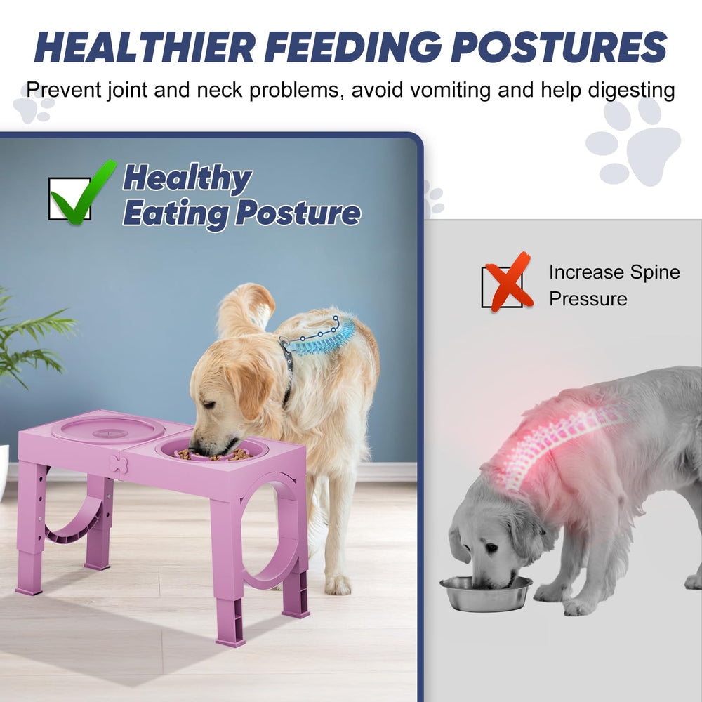 XiaZ gamelles surélevées, hauteur maximale 35 cm, pratique pour grands chiens.