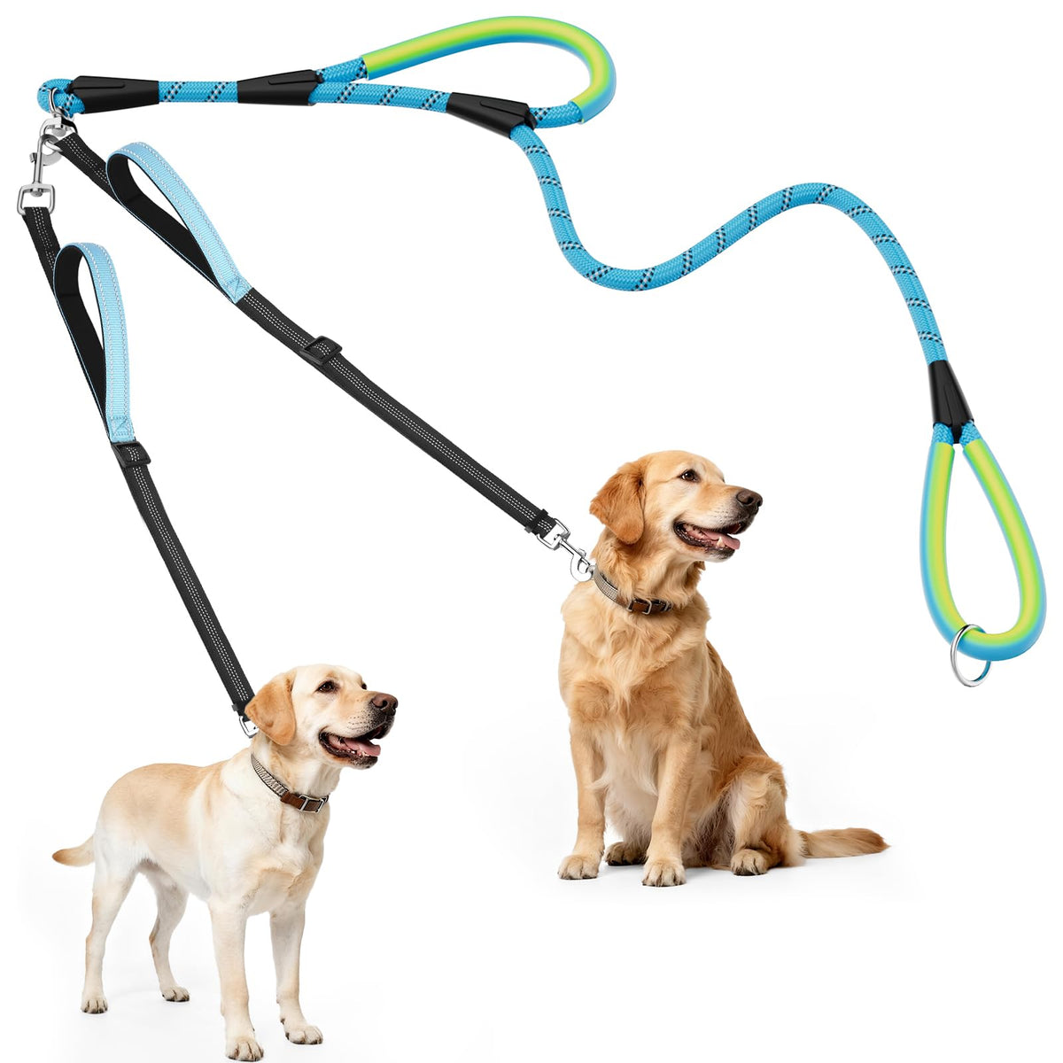 Laisse XiaZ double-chien avec rotation 360°, promenades fluides et sans enchevêtrements.