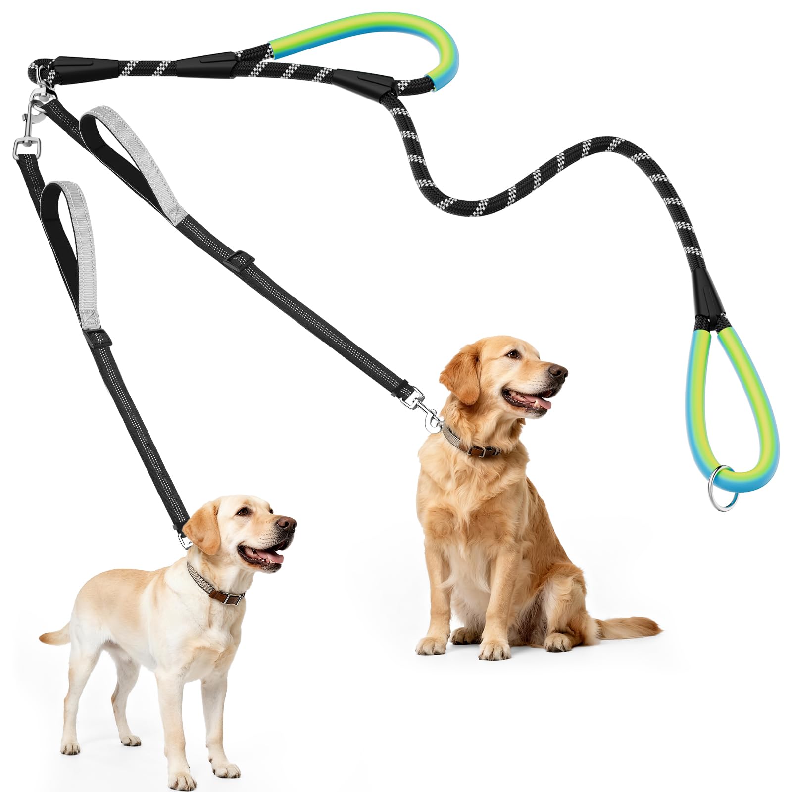 Longe XiaZ avec rotation 360° pour deux chiens, sans nœuds.