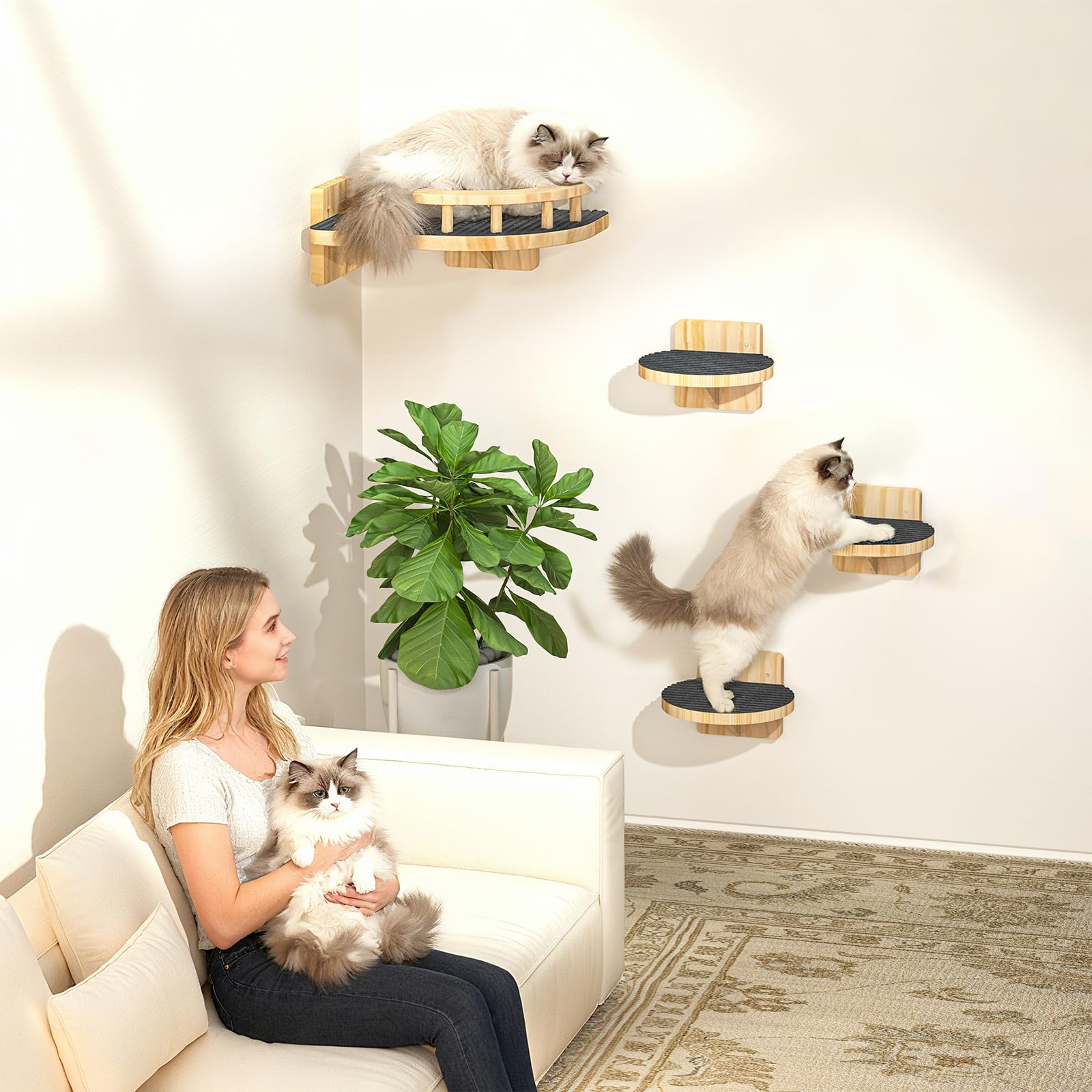 XiaZ montage chat mur pre-perce facilite l installation sans mesurer