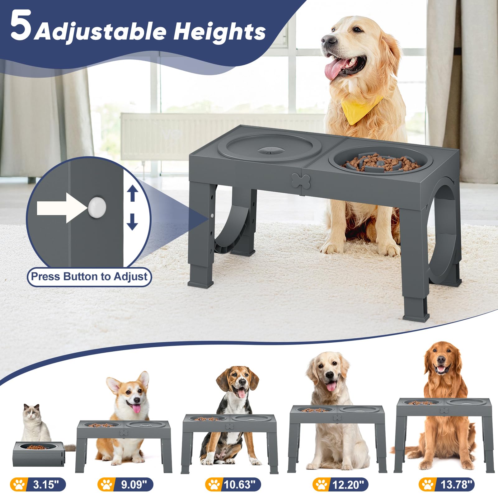 Support réglable hauteur XiaZ, s'adapte à toutes les tailles de chien.