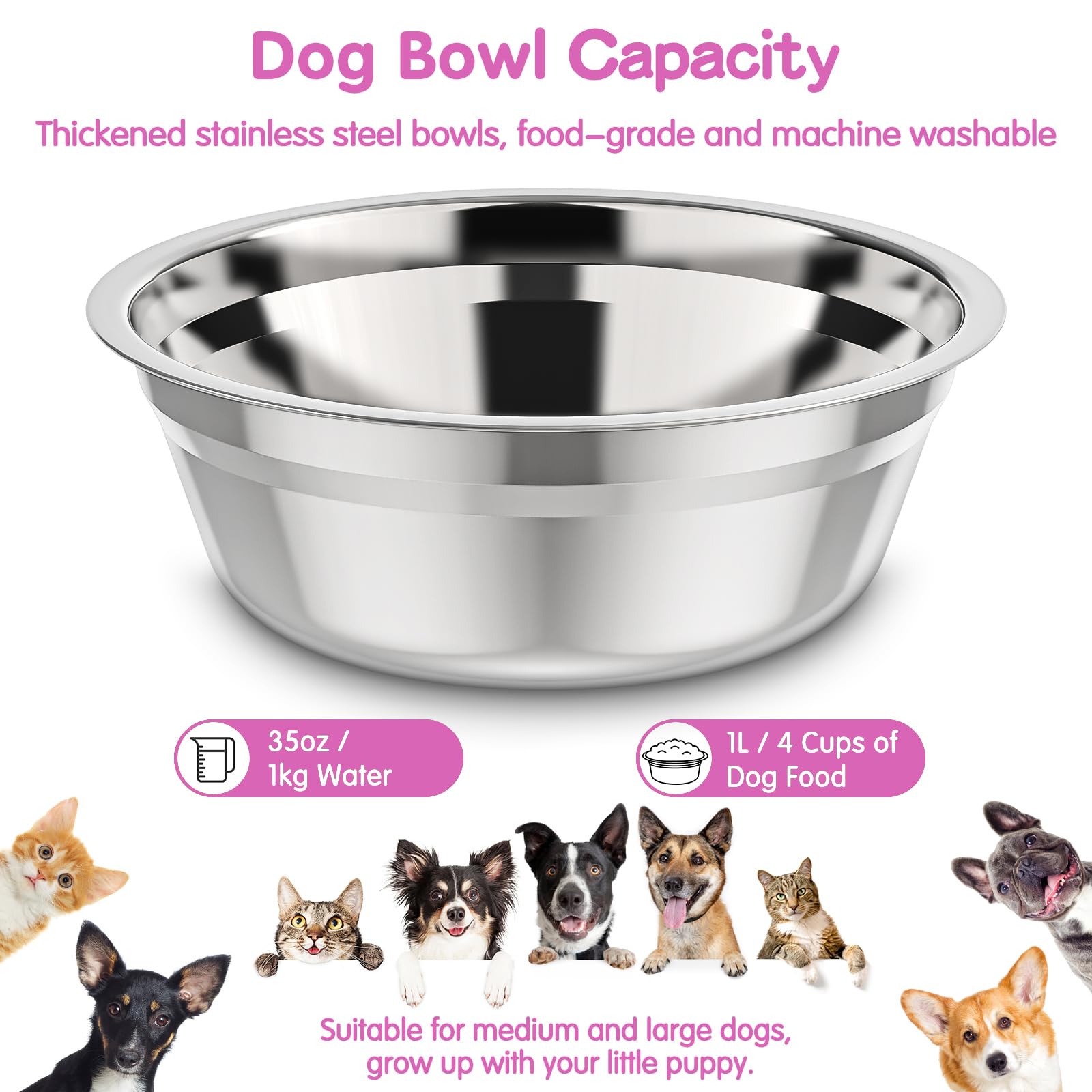 Utilisation quotidienne du bol élevé XiaZ pour grand chien.